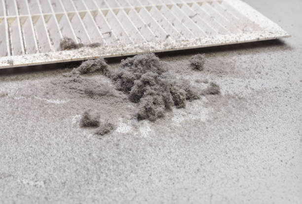 Best Professional Duct Cleaning Services  in Aetna Estates, CO