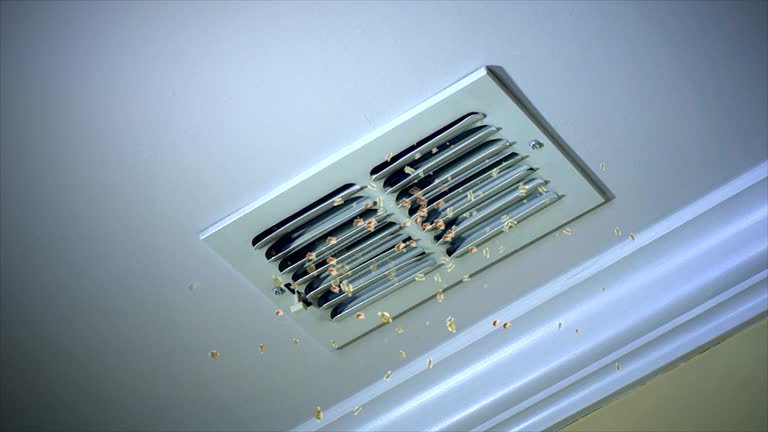 Best Affordable Duct Cleaning Services  in Aetna Estates, CO